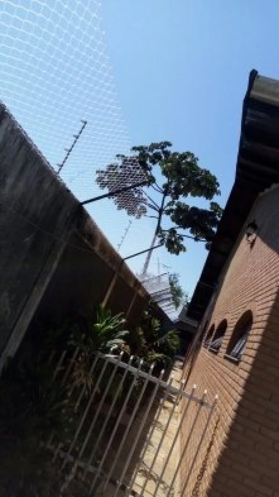 Foto 19:  — WR Telas de Proteção
