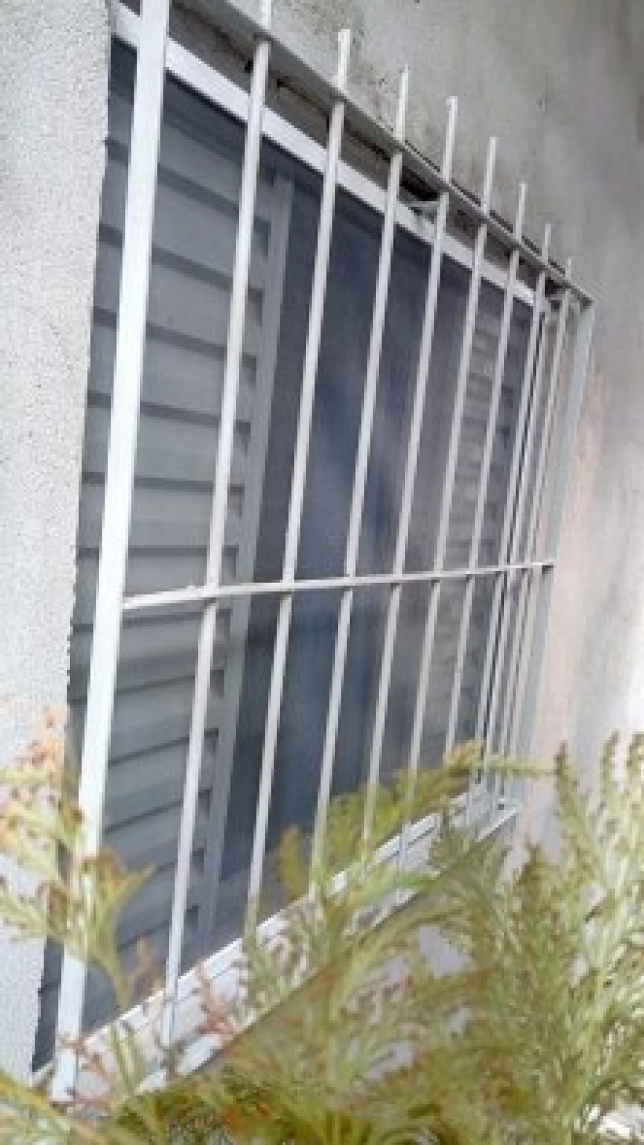 Foto 16:  — WR Telas de Proteção